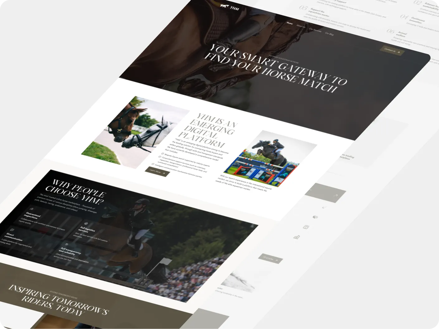 Editorial product website with case study cards